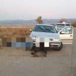 Accident stupid în Clisura Dunării