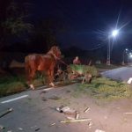 FOTO: Accident rutier în care a fost implicată o căruţă!