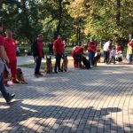 Toți câinii fără stăpân, promovați la un târg de adopții din Craiova, au noi familii