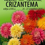 A XVII-a ediţie a expoziţiei „Regina Toamnei, Crizantema”