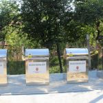 Platforme subterane de colectare a gunoiului în cinci puncte din municipiu