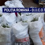 Arestări în rândul rețelei de traficanți de droguri de la Eșelnița