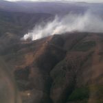 Incendiu la litiera pădurii din zona Cornereva