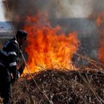 14 incendii de vegetație uscată, izbucnite, în ultimele trei zile, în mai multe localități ale județului
