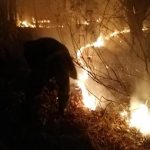 Cinci hectare de lizieră de lângă Certeze și Huta Certeze au ars