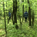 Femeie rătăcită în pădure, găsită de forțele de intervenție