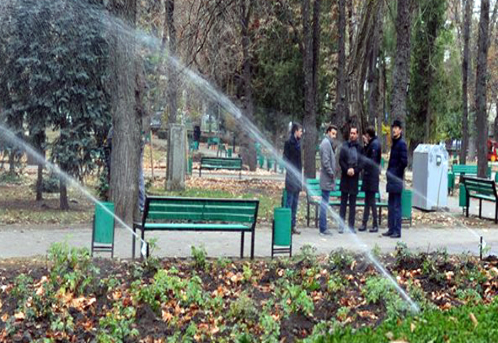 Două firme, interesate să aducă sisteme de irigații pentru parcurile din Iași
