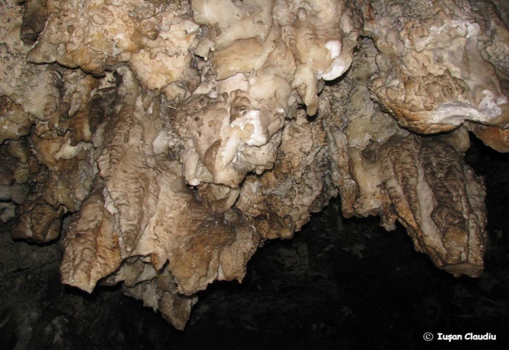 O peșteră renumită din Bistrița-Năsăud, mutilată cu dalta de pseudoturiști