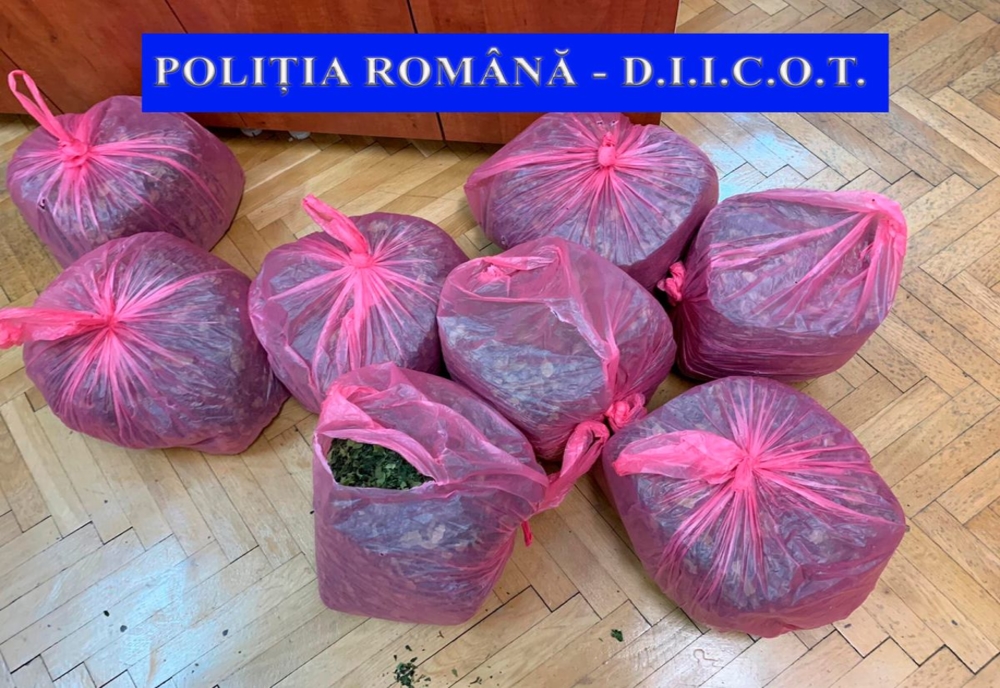 Captură record realizată de DIICOT Iași: 25 de kilograme de drog de mare risc
