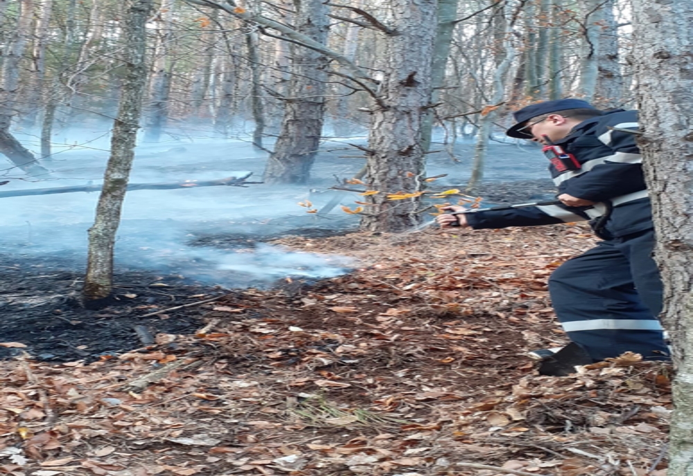 UPDATE | VIDEO | Un nou incendiu în Pădurea Măgura