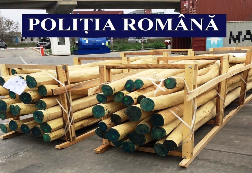 Operaţiune ilegală cu lemn depistată de Poliţia Transporturi şi Garda Forestieră București