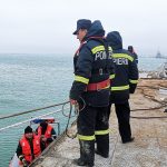 Autoritățile vor face decupaje în corpul navei răsturnate în Portul Midia pentru a scoate mai ușor oile rămase în viață