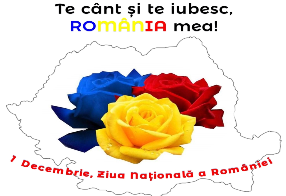 Ziua Națională a României, marcată la Biblioteca Județeană Satu Mare