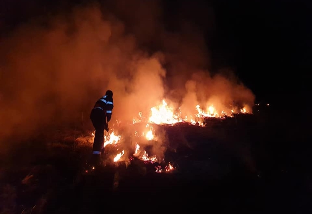 Incendiu puternic în județ: 3 hectare de vegetație uscată, cuprinse de flăcări
