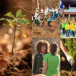 1.000.000 de puieți plantați. Campania „Plantăm fapte bune în România” continuă