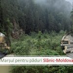 VIDEO:Astăzi, „Marșul pentru păduri” în Piața Tricolorului din Bacău și în Parcul Central din Slănic Moldova