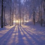 Prognoza meteo pentru această iarnă – ce spun meteorologii