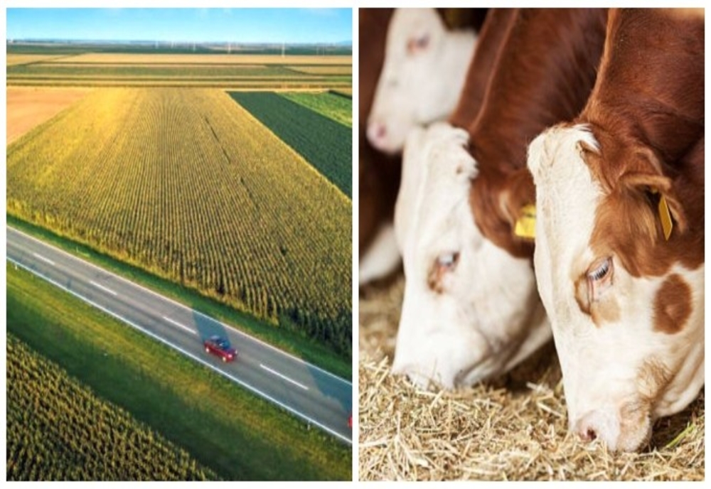Ministerul Agriculturii propune eliminarea impozitului pe terenurile agricole pentru unii crescători de animale