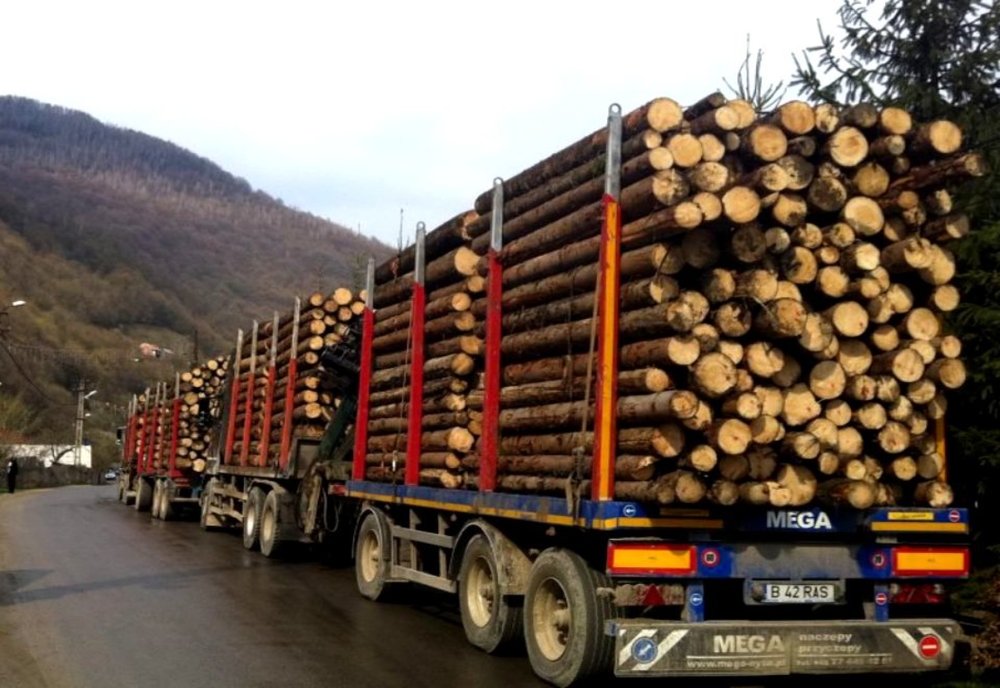 Ministrul Mediului acuză că e hărțuit de organizații cu interese în exploatarea lemnului
