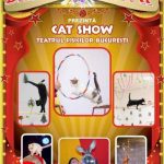 afis Cat Show