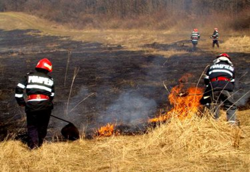 Două hectare de vegetație, arse în incendiu