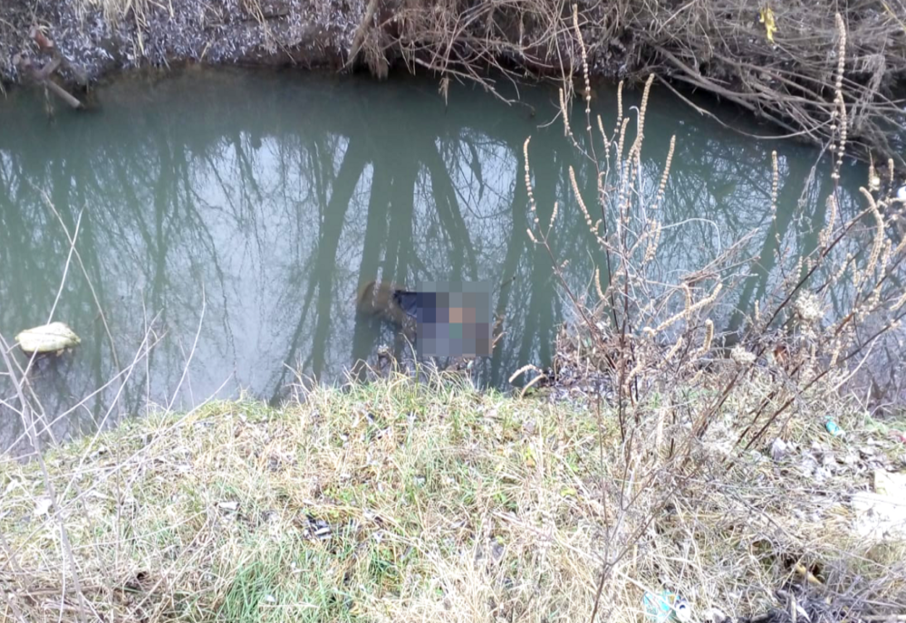 DESCOPERIRE ȘOCANTĂ! Trupul unui bărbat descoperit în albia râului Tutova