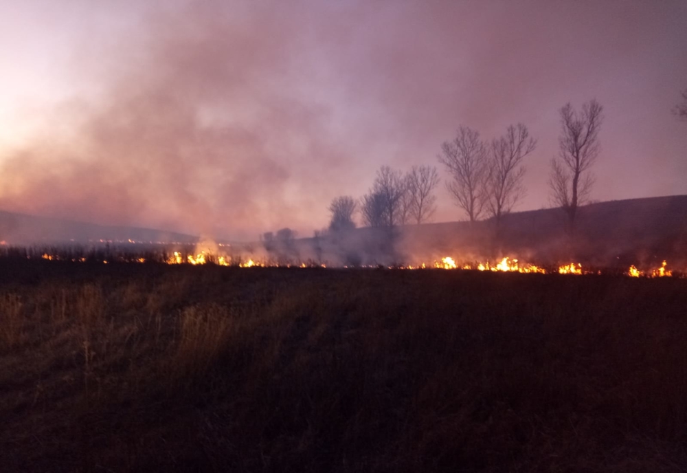 DEZASTRU. Ard câmpiile din județul Dolj