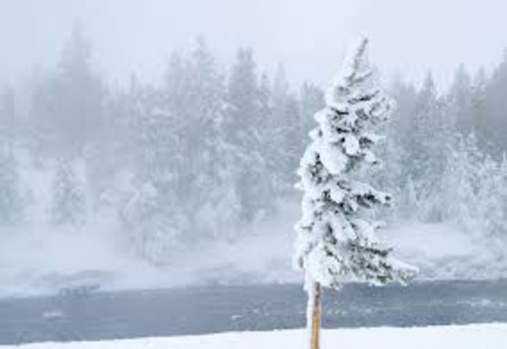 Avertizare COD GALBEN de ninsori și vânt în zona de munte a județului Neamț