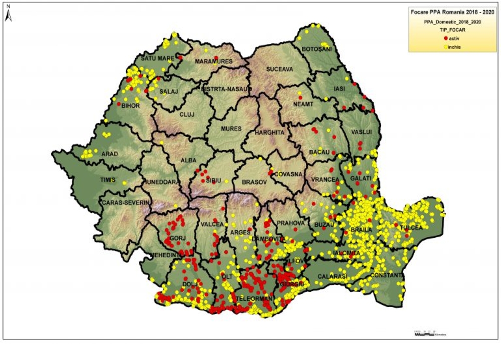 În județul Brăila mai sunt active doar 3 focare de PPA