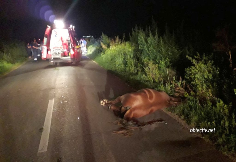 Accident grav la Sândominic. O șoferiță a intrat cu mașina într-un cal