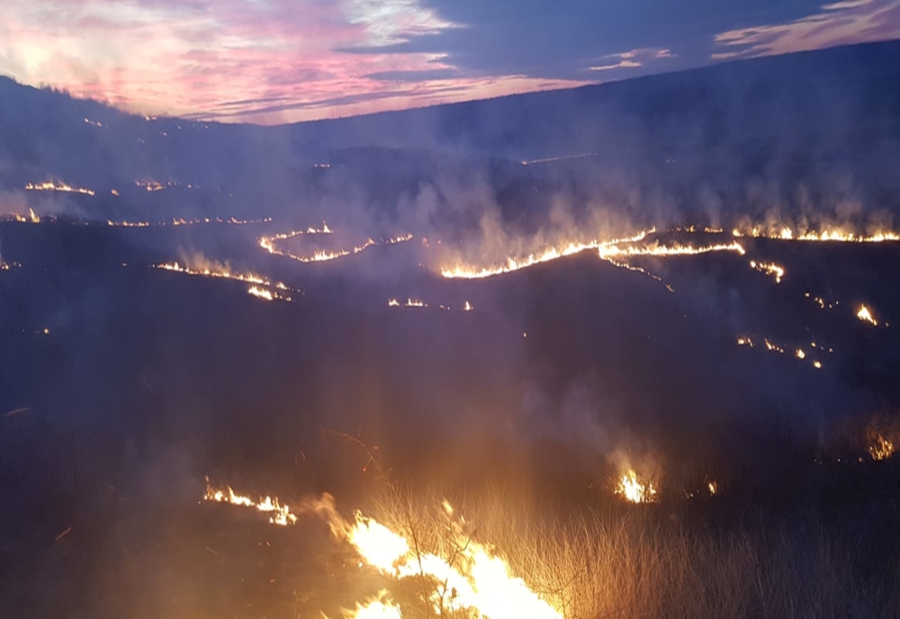 Incendiu de vegetație în comuna Oltenești. Mai multe echipaje de pompieri intervin la fața locului
