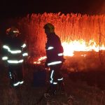 Video| Anormal! Pompierii din Dâmbovița se luptă cu un puternic incendiu de vegetație, la Vlădeni. Parcă ar fi mijlocul verii nu al…iernii
