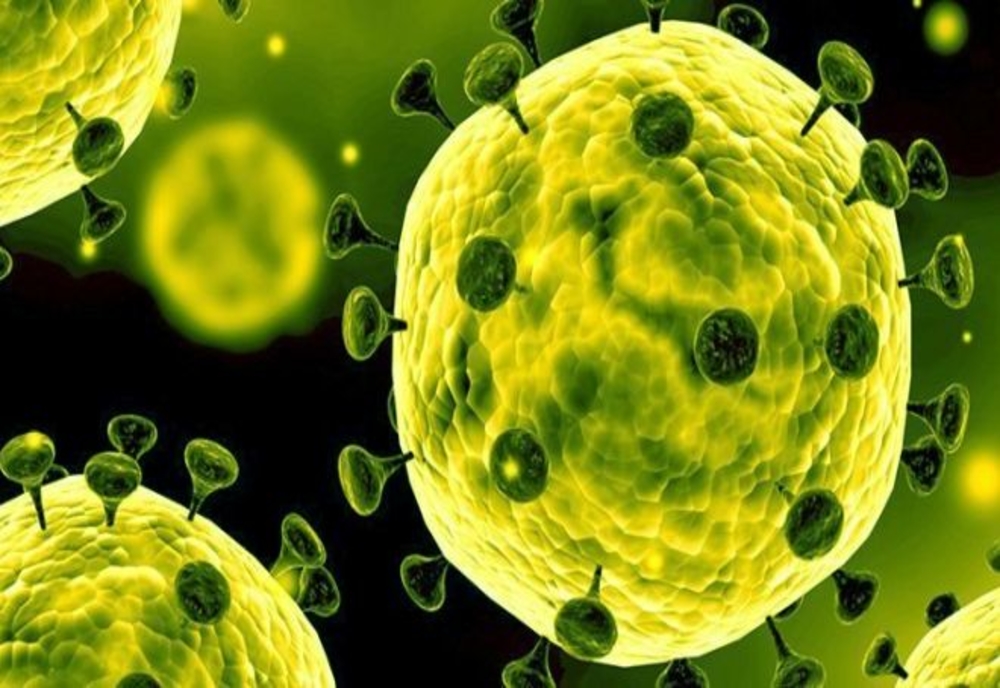 Australia a confirmat primul său caz de îmbolnăvire cu noul tip de coronavirus în statul Victoria