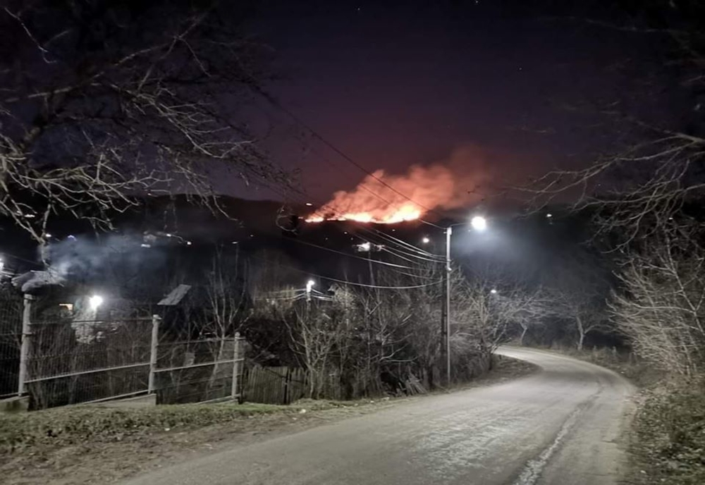Foto-Video| Foc devastator la Gura Ocniței, în Dâmbovița. Livezi întregi au ars de la un foc nesupravegheat