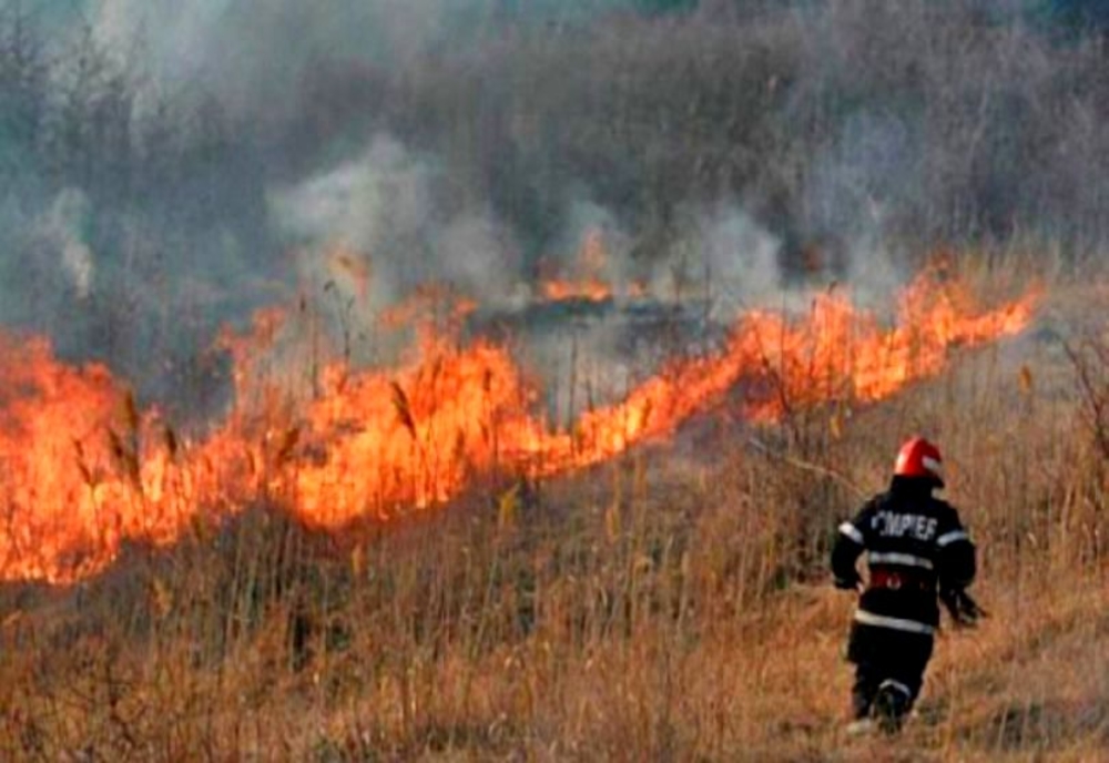 Trafic îngreunat pe DN 7,în Dâmbovița, din cauza unui incendiu de vegetație