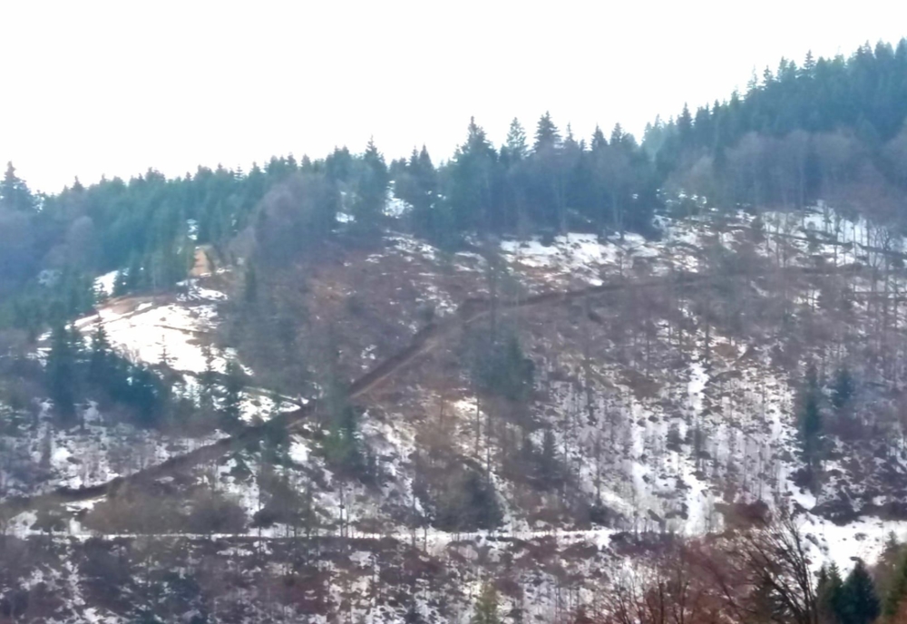 Frăția CIOATELOR din Munții Apuseni. Parlamentari, primari, polițiști și pădurari implicați în defrisările pădurilor din Alba