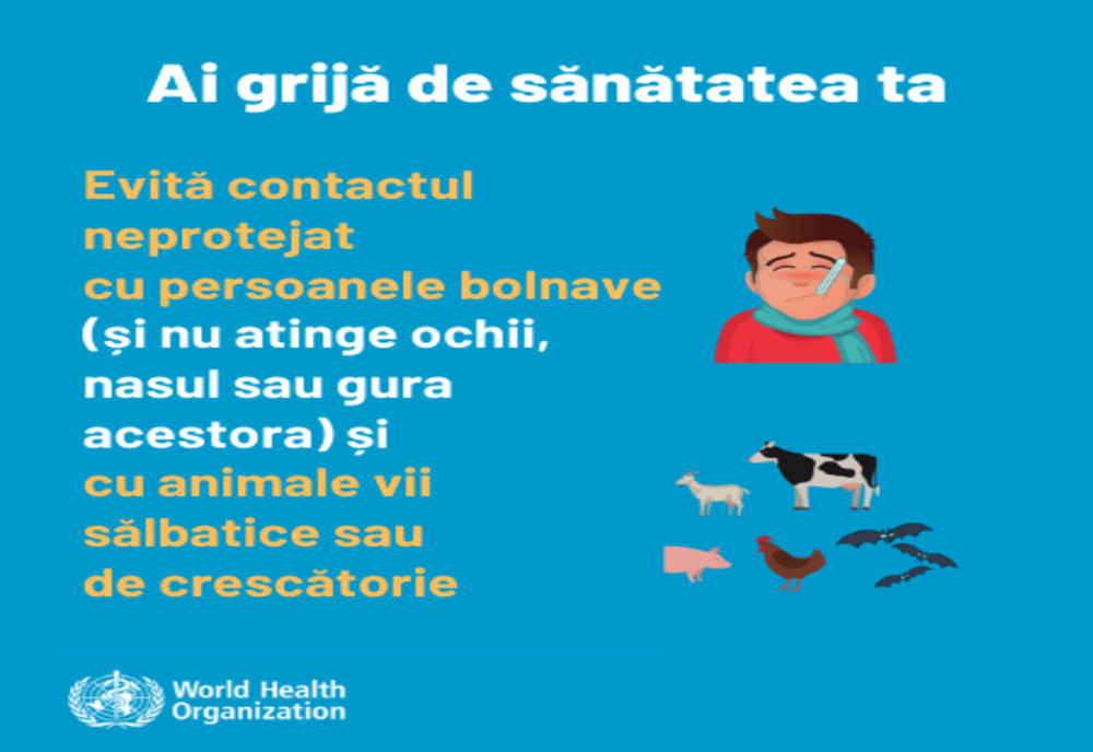 Recomandări ale DSP Iași pentru a preveni îmbolnăvirile cu gripă
