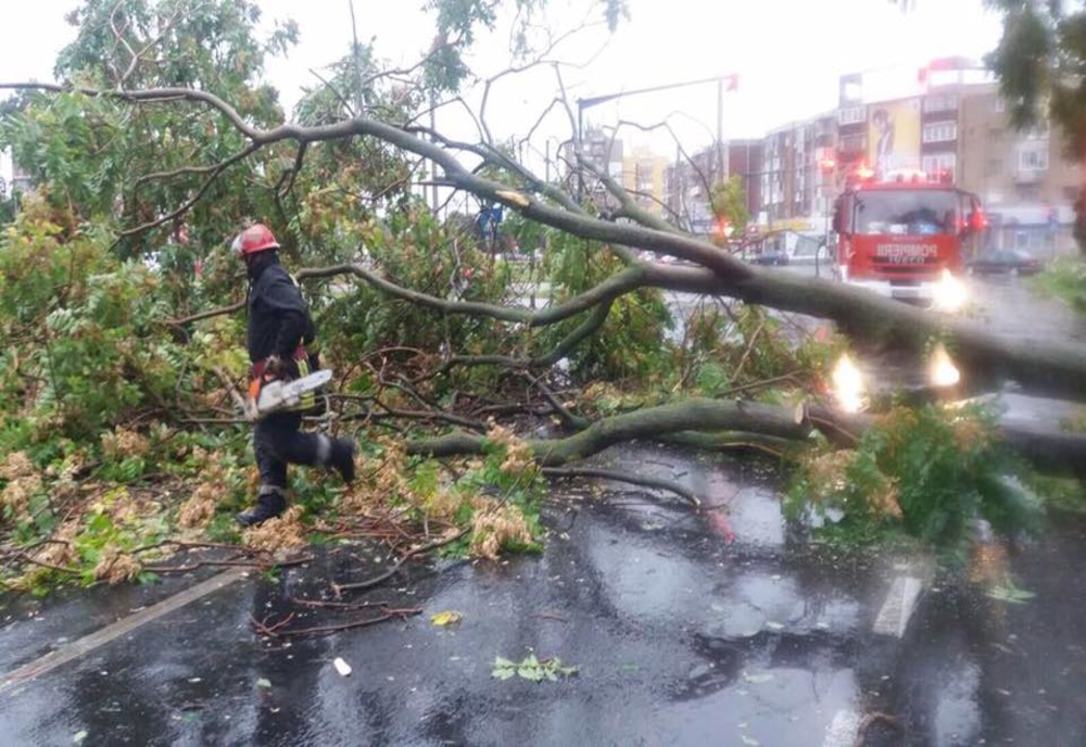 Vântul puternic a doborât mai mulți copaci pe drumurile din județul Covasna