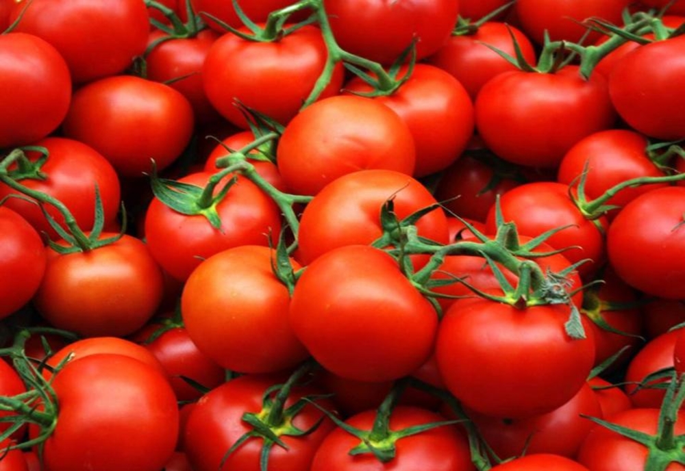 Programul Tomata continuă și în 2020
