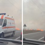 Video| Puternic incendiu de vegetație, la Ilfoveni, în Dâmbovița. Trafic perturbat pe DN 71