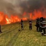 FOTO VIDEO| Incendiu de proporții la Vadu Oii. Pompieri din Constanța și Ialomița, în luptă cu flăcările