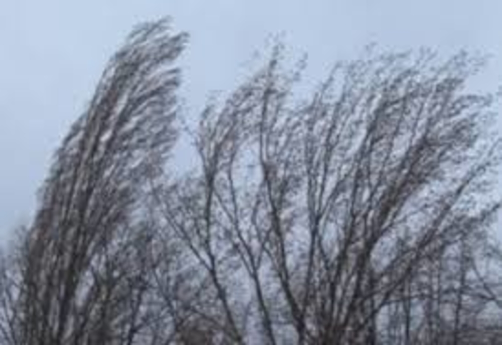 Atenționări meteo pentru Bistrița-Năsăud: ninsori moderate și viscol! Ce recomandă polițiștii bistrițeni