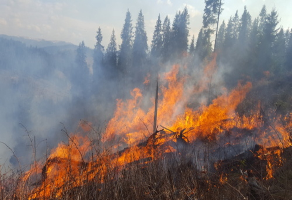 Aproximativ 200 de pompieri, pădurari și salvamontiști au intervenit pentru stingerea a șase incendii care au amenințat fondurile forestiere VIDEO