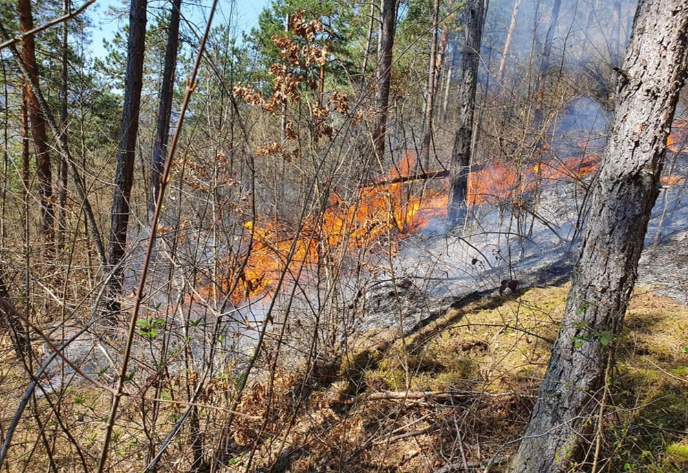 Val de incendii de vegetaţie uscată în judeţul Hunedoara