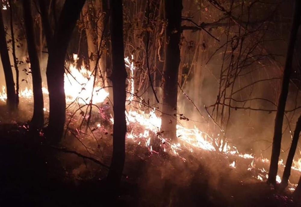 Pompierii negreșteni s-au luptat 24 ore pentru stingerea unui incendiu. Focul s-a extins pe 50 de hectare de pădure