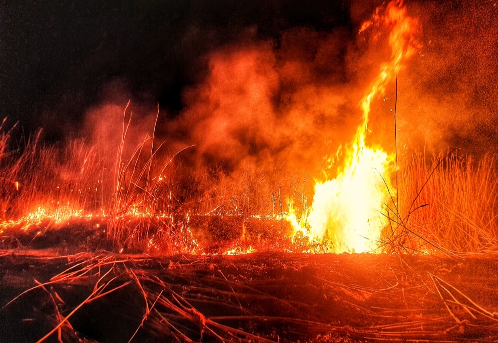 Foto | Semnal de alarmă de la ISU Dâmbovița. Incendii de vegetație (5 aprilie) ce riscă să nu poată fi stăpânite