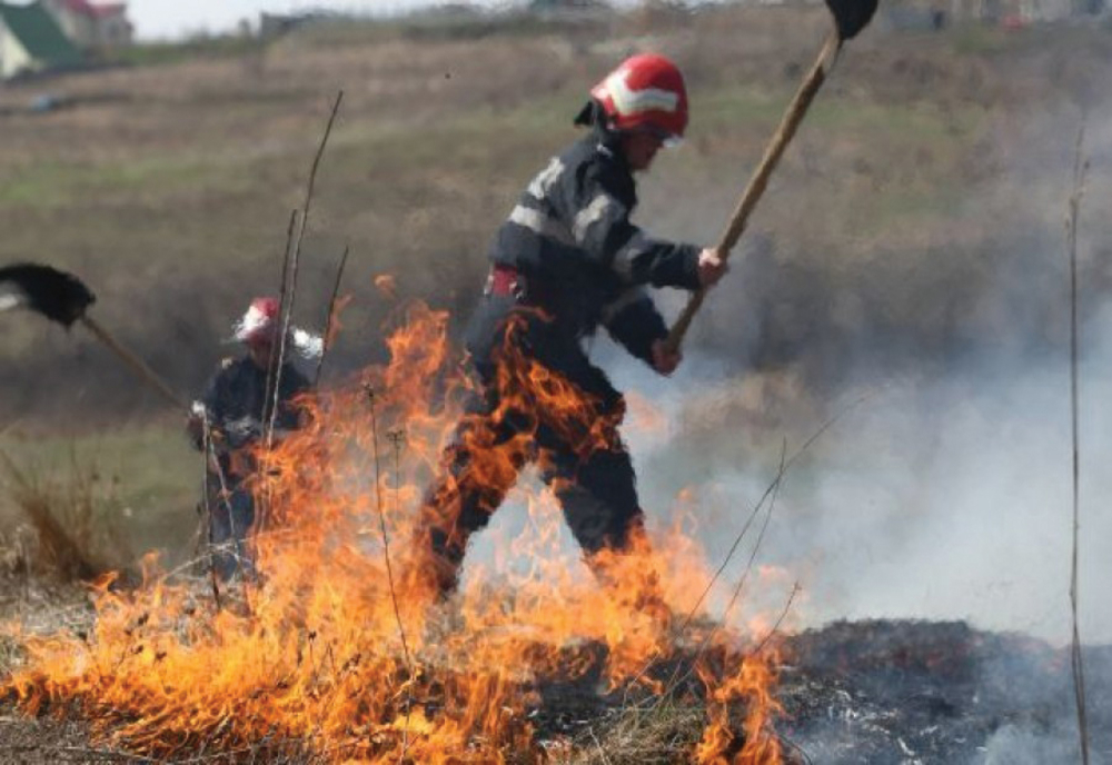Opt dosare penale pentru distrugere, în urma unor incendii de vegetație