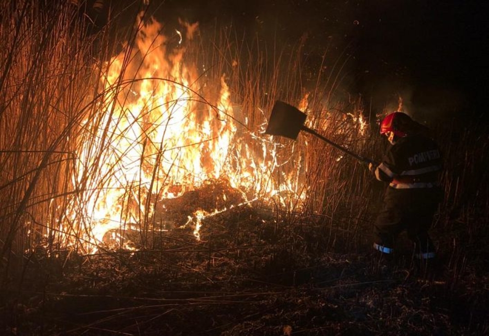 Un nou incendiu de vegetație uscată. Pompierii harghiteni intervin în apropiere de Lacu Roșu