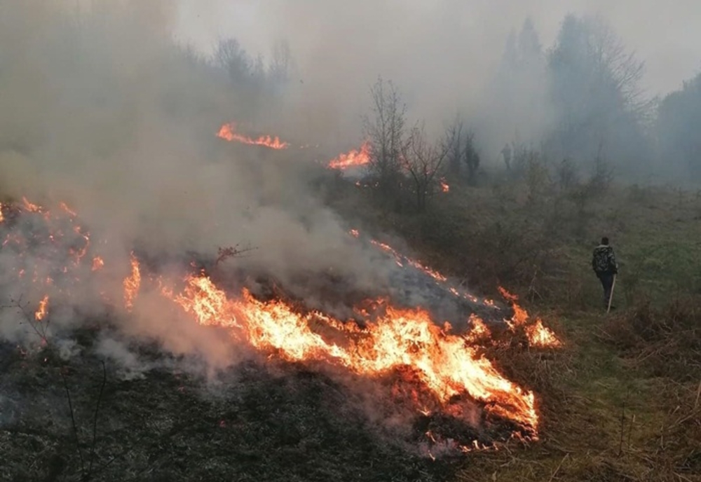Incendiu de vegetație într-o localitate harghitenă. Focul riscă să se extindă la o pădure a Primăriei Subcetate