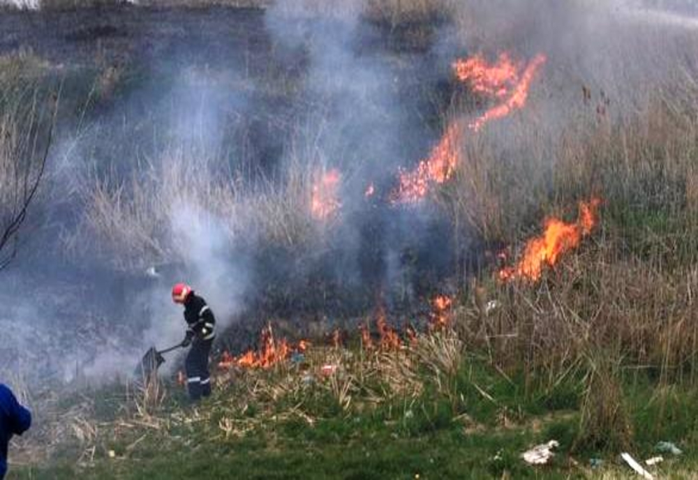 Incendiu de vegetație în comuna Șoldanu